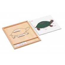 Colored animal puzzle activity set -turtle