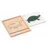 Colored animal puzzle activity set -turtle