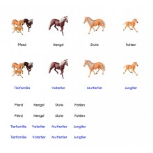 Tierfamilie - Pferd - Deutsch