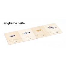 Lebenszyklus - Mücke - Arbeitsmaterial - Deutsch/Englisch