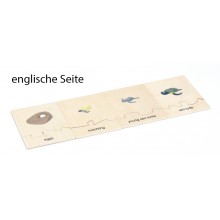 Lebenszyklus - Meeresschildkröte - Arbeitsmaterial - Deutsch/Englisch