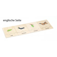 Lebenszyklus - Schmetterling - Arbeitsmaterial - Deutsch/Englisch