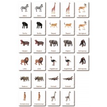 Klassifikationskarten - Deutsch + Tiere aus Afrika
