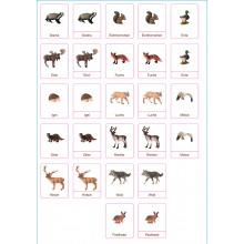 Klassifikationskarten - Deutsch + Tiere aus Europa