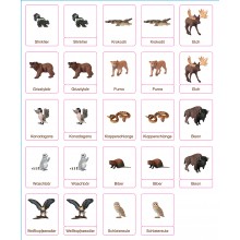 Klassifikationskarten - Deutsch + Tiere aus Nordamerika