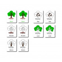 Baum - Klassifikationskarten - Deutsch