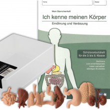Menschliche Organe - Meine Sammlung + Heft