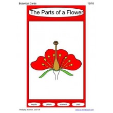 Botanical Cards (Dieser Artikel ist auch in deutsch erhältlich)