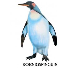 Prehliadka tučniakov